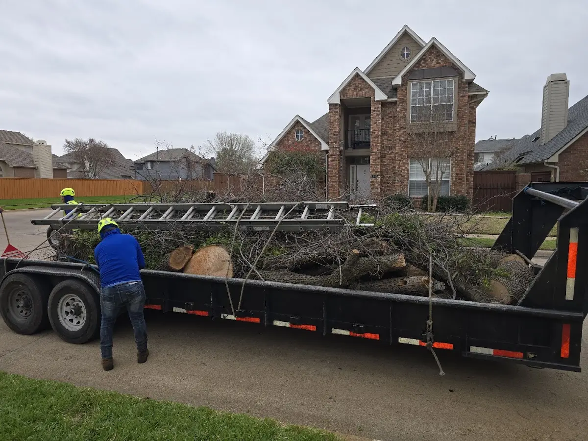 Expert Tree Removal with proper safety equipment in Saint Croix